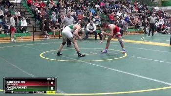 138 lbs 3rd Place Match - Kade Mellon, WADSWORTH vs Anden Ankney, TINORA