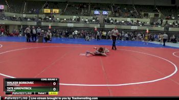 102 lbs Cons. Round 3 - Walker Borkovec, Oconto Falls vs Tate Kirkpatrick, Pinnacle