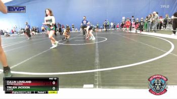 110 lbs 5th Place Match - Trejen Jackson, SlyFox vs Cullin Loveland, Milton Monsters