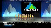 Dance Dynamics - Mini Elite Large Jazz [2025 Mini - Jazz - Large Semis] 2025 The Dance Summit