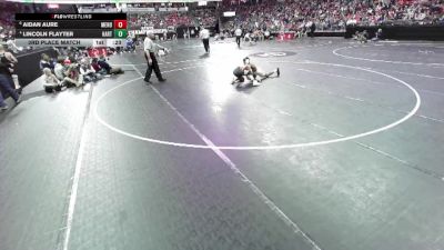 D1-126 lbs 3rd Place Match - Lincoln Flayter, Hartford Union vs Aidan Aure, Menomonie