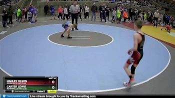 63 lbs Quarterfinal - Hanley Olson, Salem Elite Mat Club vs Carter Lewis, McMinnville Mat Club