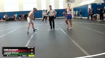 190 lbs Champ. Round 1 - Gabe Palaganas, Washington Township vs Connor Smalley, Notre Dame