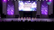 DanceWorks - Mini Pom (small) [2025 Mini - Pom - Small Day 1] 2025 JAMfest Dance Super Nationals