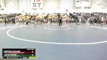 93 lbs Cons. Round 3 - Anthony Scolaro, Gorilla Grapplers Wrestling Club vs Justis Majors, Mongoose Elite Wrestling