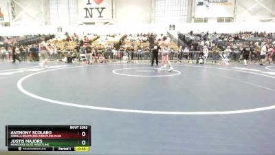 93 lbs Cons. Round 3 - Anthony Scolaro, Gorilla Grapplers Wrestling Club vs Justis Majors, Mongoose Elite Wrestling