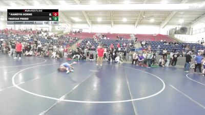 66 lbs Champ. Round 1 - Tristan Freed, Team Prestige Wrestling vs Kamdyn Horne, Box Elder Stinger Wrestling
