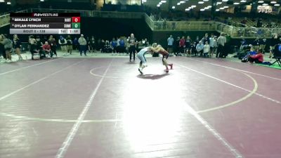 138 lbs Champ. Round 3 - Mikale Lynch, Hartsville vs Dylan Fernandez, Somerset