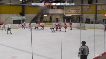 Replay: Home - 2024 Colts U16 AAA vs TO Red Wings U16 | Nov 29 @ 8 AM