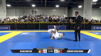 Nelson James Cox vs Cameron Yutaka Hoashi 2026 American National IBJJF Jiu-Jitsu Championship
