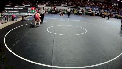 D 2 190 lbs Champ. Round 1 - Dominic DiGiovanni, Archbishop Rummel vs Ayden Breaux, Rayne