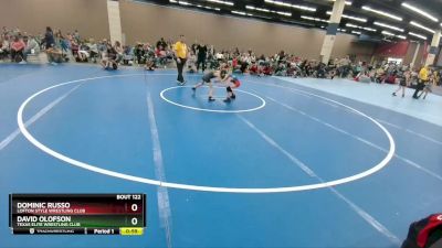 55-57 lbs Round 2 - Dominic Russo, Lofton Style Wrestling Club vs David Olofson, Texas Elite Wrestling Club