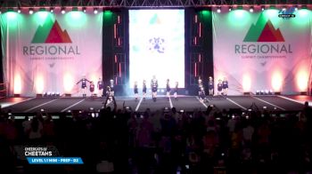 CheerCats LV - Cheetahs [2025 L1.1 Mini - PREP - D2 Day 1] 2025 The West Regional Summit & The Recreational Summit