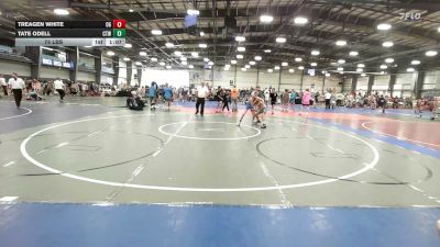 75 lbs Quarterfinal - Treagen White, OHIO GOLD - MS vs Tate ODell, IRONWHALE - MS