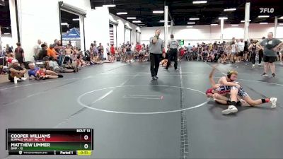 84 lbs Round 5 (6 Team) - Cooper Williams, Buffalo Valley WC vs Matthew Limmer, OMP