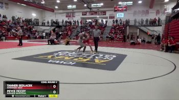 175 lbs Cons. Round 2 - Peyce McCoy, Dubuque Hempstead vs Tanner Sedlacek, Davenport West