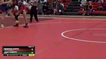 175 lbs Quarterfinal - Nehemiah Saipaia, Canton McKinley vs Aiden Roberts, Ellet