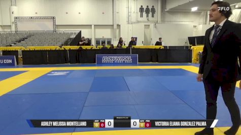 Victoria Eliana Gonzalez Palma vs Ashley Melissa Montellano 2025 World IBJJF Jiu-Jitsu No-Gi Championship