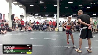 80 lbs Round 3 (4 Team) - Julian Tate, Mat Warriors Red vs Chayce Plesh, Mat Warriors Blue