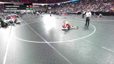 D1-120 lbs Quarterfinal - Landyn Freeman, Wisconsin Rapids Lincoln vs Andy DiPiazza, Kaukauna