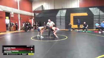 106 lbs Quarterfinal - Anthony Esoldo, Shadow Ridge vs Easton Finch, Arbor View