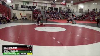 115 lbs Quarterfinal - Stella Houselog, Dubuque Hempstead vs Delaney Barber, Central DeWitt