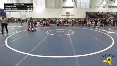 81 lbs Champ. Round 1 - Chase Galvez, KD Training Center vs Ezra Brown, Celtic Wrestling Club