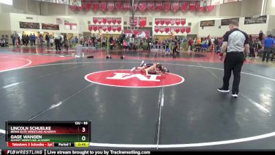 85 lbs Cons. Round 4 - Gage Wangen, Summit Wrestling Academy vs Lincoln Schuelke, Berge Elite Wrestling Academy