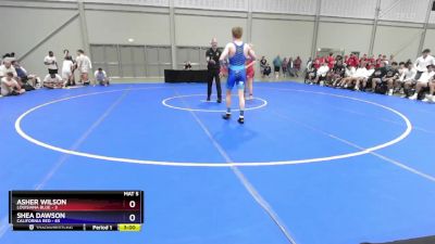 138 lbs Semis & 3rd Wb (16 Team) - Asher Wilson, Louisiana Blue vs Shea Dawson, California Red