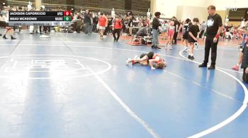 65 lbs Quarterfinal - Jackson Caporiccio, Dark Horse/Apex - ESE vs Beau Mckeown, Mat Assassins White - ESE