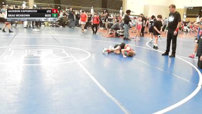 65 lbs Quarterfinal - Jackson Caporiccio, Dark Horse/Apex - ESE vs Beau Mckeown, Mat Assassins White - ESE