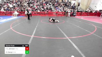 113 lbs Quarterfinal - Carter Johnson, Tyngsborough/Dracut vs Dominic Gangi, Methuen