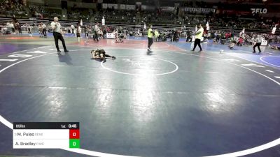 65 lbs Consi Of 4 - Madeline Puleo, Seneca vs Abigail Bradley, Fiwc