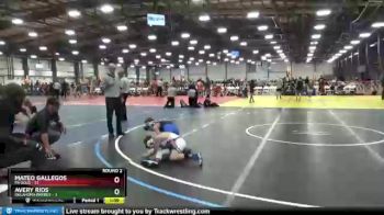 80 lbs Round 2 - Mateo Gallegos, PA Gold vs Avery Rios, Oklahoma Energy