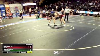 106 Class 3 lbs Quarterfinal - Aiden Hahn, Farmington vs Tristan Ace, Rolla