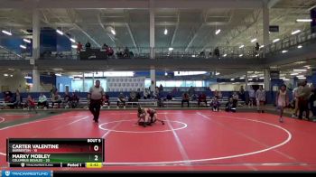 75 lbs Round 2 (8 Team) - Marky Mobley, Columbus Desales vs Carter Valentine, Barberton