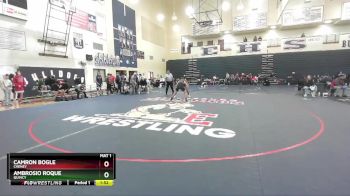132 lbs Quarterfinal - Ambrosio Roque, Quincy vs Camron Bogle, Cheney