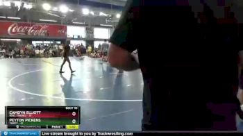 95 lbs Round 3 (8 Team) - Peyton Pickens, TNWCC vs Camdyn Elliott, Well Trained