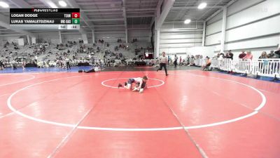 70 lbs Rr Rnd 2 - Logan Dodge, Team Michigan vs Lukas Yamaletdzinau, Buffalo Valley Wrestling Club EL Black