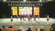 IDOL Athletes of Miami - Falcons [2026 D1 Senior Coed Level 4.2 Day 2] 2026 U.S. National Cheer & Dance Championship
