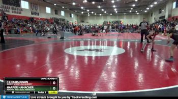 85 lbs Cons. Round 5 - Harper Hamacher, Pursuit Wrestling Minnesota vs Tj Richardson, Summit Wrestling Academy