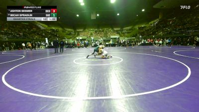 132 lbs Quarterfinal - Ashton Besmer, Buchanan vs Micah Spradlin, Bakersfield