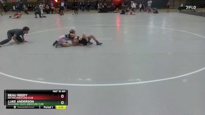 100 lbs Cons. Round 2 - Luke Anderson, Buckhorn Youth Wrestling Club vs Beau Reedy, Big Red Wrestling Club