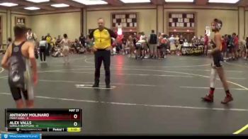 85 lbs Round 2 (6 Team) - Alex Valls, Gorilla Grapplers vs Anthony Molinaro, Frost Gang