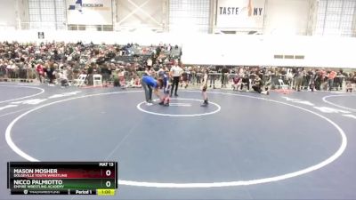 74 lbs Cons. Round 1 - Nicco Palmiotto, Empire Wrestling Academy vs Mason Mosher, Dolgeville Youth Wrestling