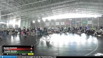 67 lbs Round 2 (4 Team) - Blade Pehrson, Utah Gold vs Tucker Wilson, Salem Elite Wrestling