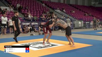 Kristof Balint vs Jussi Harju 2024 ADCC Amateur World Championship