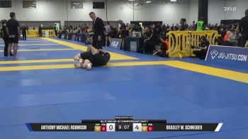 Bradley W. Schneider vs Anthony Michael Robinson 2026 Pan IBJJF Jiu-Jitsu No-Gi Championship