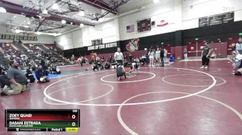 110 lbs Round 5 - Zoey Quaid, Ramona vs Dasani Estrada, Excelsior Charter