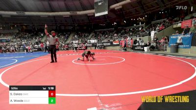 52 lbs Quarterfinal - Sawyer Oakes, Oakes vs Aukai Woode, Golden Backs MRTC